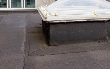 disadvantages of Braeface flat roofs