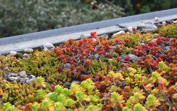 the cost of Braeface green roof installation