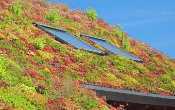 Braeface living roof systems