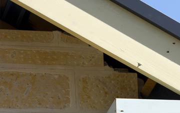 soffit repair Braeface